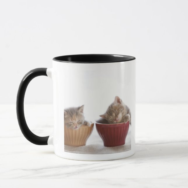 Tasse Deux chatons dormant dans des cuvettes (Gauche)