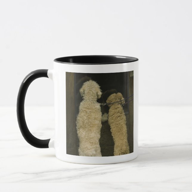 Tasse Deux chiens regardant dans la fenêtre de porte, (Gauche)