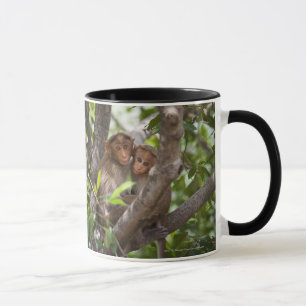 Tasse Deux singes dans un arbre