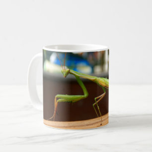 Tasse d'insecte de mante de prière