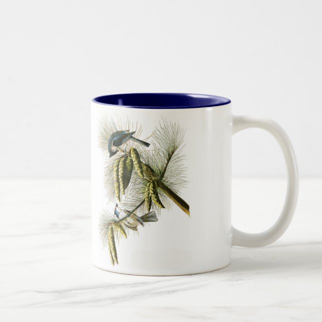 Tasse d'oiseau d'Audubon, mésange tuftée, 15 onces (Droit)