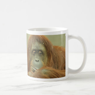 Tasse d'orang-outan