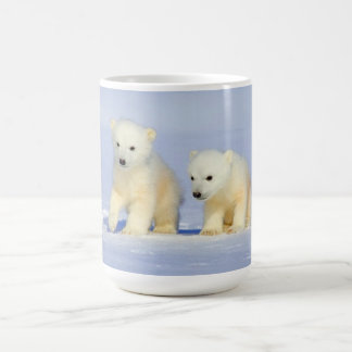 Tasse d'ours blancs