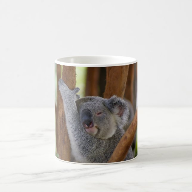 Tasse d'ours de koala (Centre)
