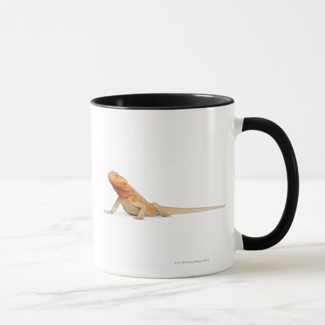Tasse Dragon barbu scaleless de SilkBacks - Pogona (Droite)