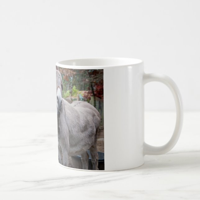 Tasse drôle d'âne (Droite)