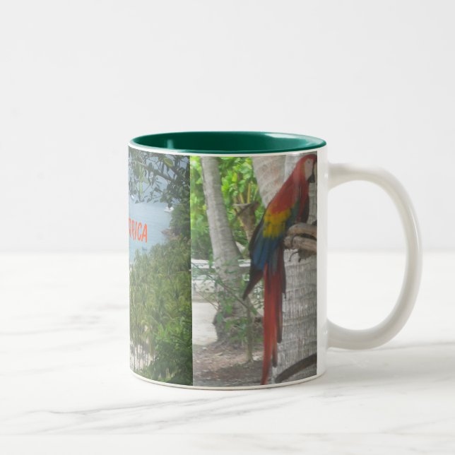 Tasse du Costa Rica (Droit)