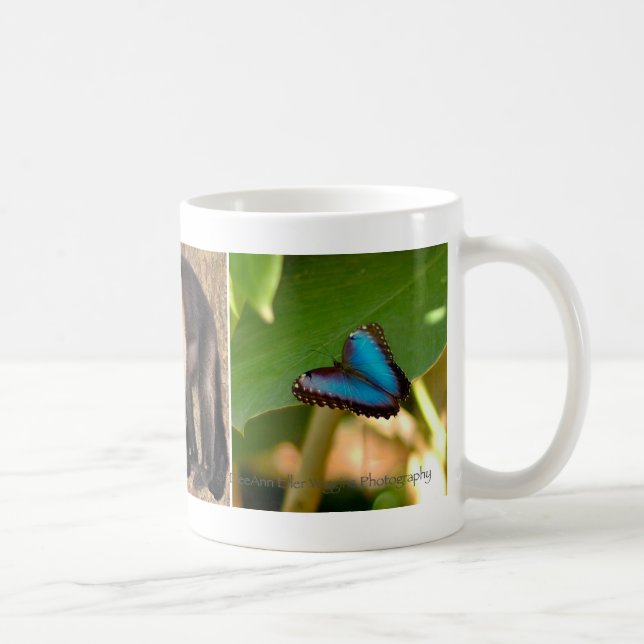 Tasse du Costa Rica (Droite)