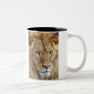 Tasse du lion de Bubba.