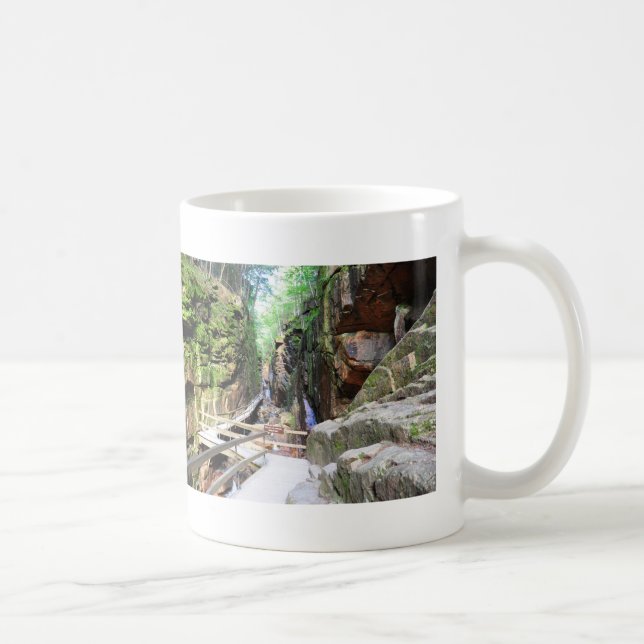 Tasse du New Hampshire de gorge de canalisation (Droite)