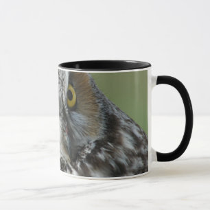Tasse Duc