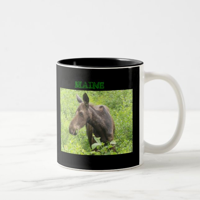 Tasse d'un an d'orignaux (Droit)