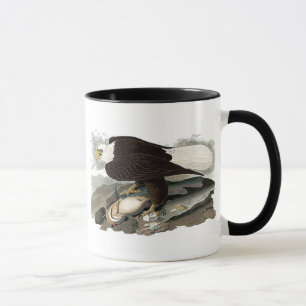 Tasse Eagle à tête blanche   John James Audubon