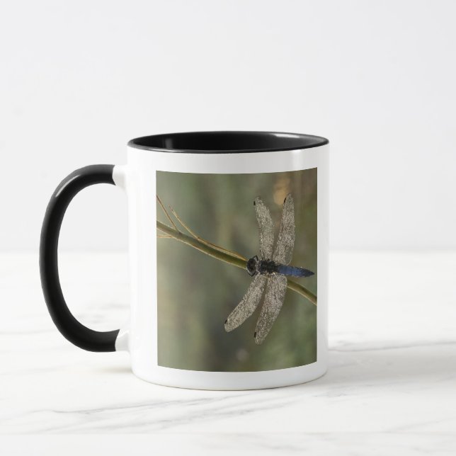 Tasse Écumoire à queue noire (Gauche)