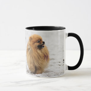 Tasse Edgrrrr #3 - Pomeranian