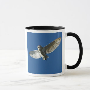Tasse Effraie des clochers en vol de jour