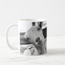 Tasse effrontée d'enfants (chèvres de bébé)