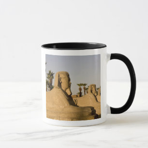 Tasse Égypte, Louxor. L'Allée des Sphinx mène à
