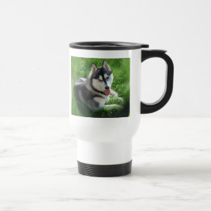 Tasse en plastique de voyage de chien de chien de