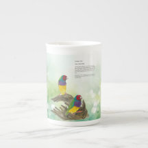 Aquarelles colorées pour oiseaux de Finch Gouldian