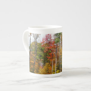 Tasse En Porcelaine Automne dans la forêt Colorée Photographie d'autom