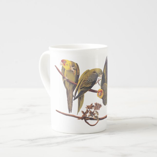 Tasse En Porcelaine Carolina Parakeet Trio (Devant gauche)