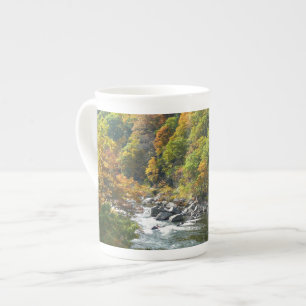Tasse En Porcelaine Couleur d'automne dans le parc d'état d'Ohiopyle