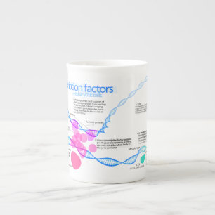 Tasse En Porcelaine Diagramme des facteurs de transcription génétique