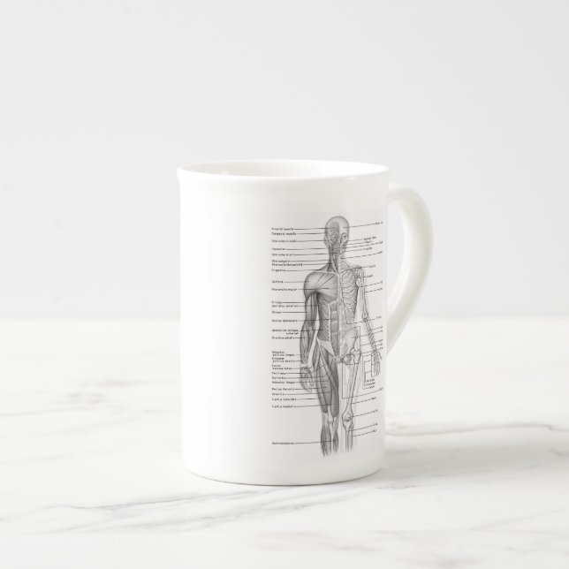 Tasse En Porcelaine Diagramme humain éducatif d'anatomie (Devant droit)