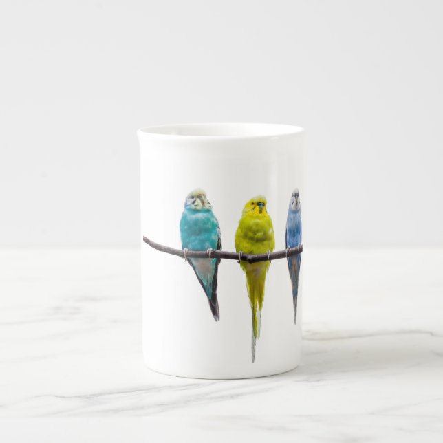 Tasse En Porcelaine Économies (Devant)
