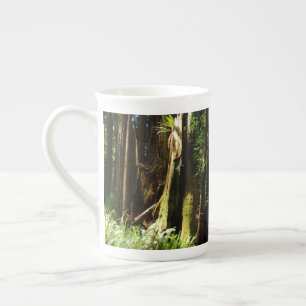 Tasse En Porcelaine Les séquoias et les fougères du parc national Redw