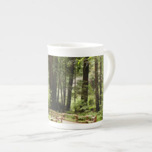 Tasse En Porcelaine Muir Woods Chemin I Nature Photographie