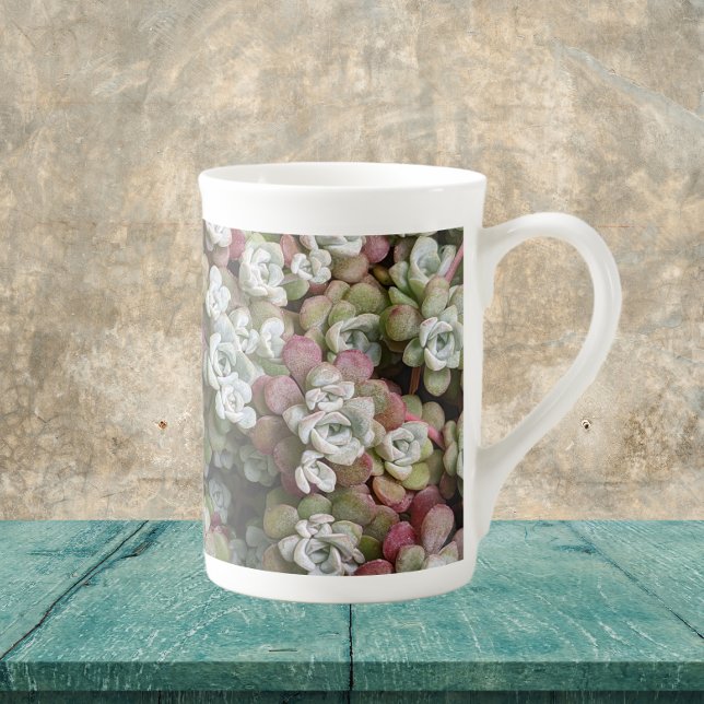 Tasse En Porcelaine Sedum Spathulifolium Succulents Floral (In Situ)