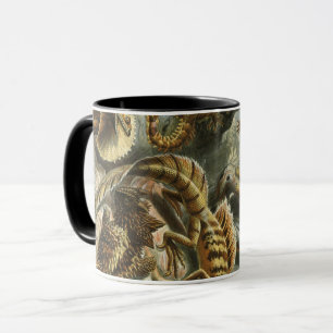 Tasse Ernst Haeckel, ancienne illustration de mode Lacer