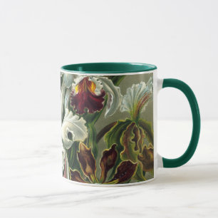 Tasse Ernst Haeckel Orchidées, Fleurs de la Forêt Tropic