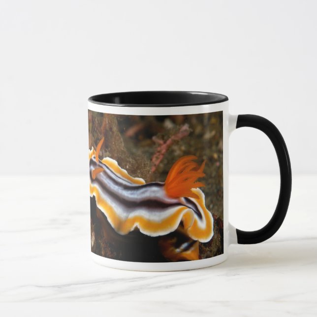 Tasse Escargot sous-marin (Droite)