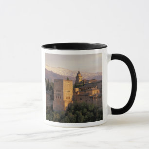 Tasse Espagne, Grenade, Andalousie, Alhambra,