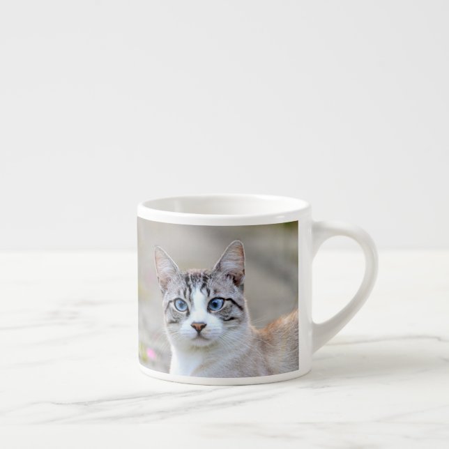 tasse espresso Photo chat animal de compagnie. (Droite)