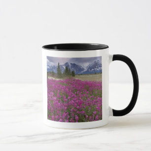 Tasse États-Unis, Alaska, vallée de la rivière Alsek. Vu