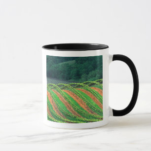 Tasse États-Unis, Californie, comté de Mendocino, en tre
