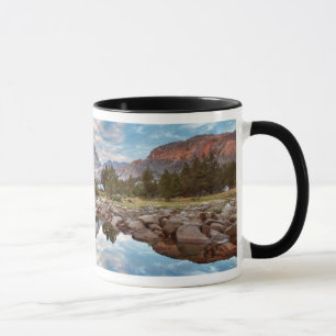 Tasse États-Unis, Californie, Inyo National Forest 15