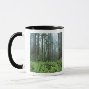 Tasse États-Unis, Californie, Parc national de Redwood. 