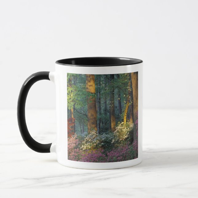 Tasse États-Unis, Géorgie, Callaway Gardens, forêt d'Aza (Gauche)