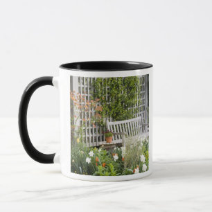 Tasse États-Unis, Géorgie, Pine Mountain. Chaise dans