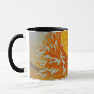 Tasse États-Unis, Géorgie, Savannah, Gros plan d'un lotu