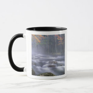 Tasse États-Unis, New York, Adirondacks, Big Moose Rive