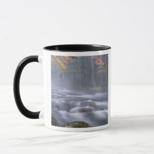 Tasse États-Unis, New York, Adirondacks, Big Moose River