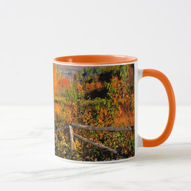 Tasse États-Unis, Nouvelle-Angleterre, New Hampshire, Ch (Droite)
