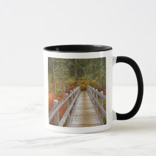 Tasse États-Unis, Oregon, Forêt nationale de Willamette.