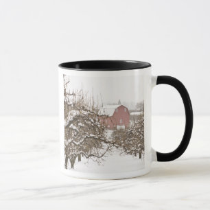 Tasse États-Unis, Oregon, Hood River. Pomme couverte de